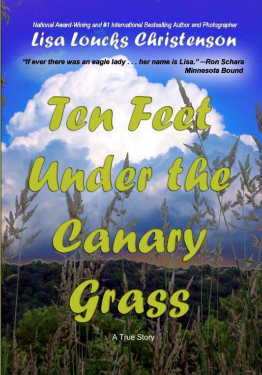 Ten Feet Under the Canary Grass (Stories From the Whitewater Valley)
