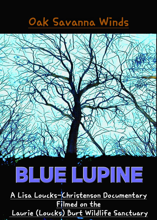 Oak Savanna Winds: Blue Lupine (The Laurie (Loucks) Burt Wildlife Sanctuary)
